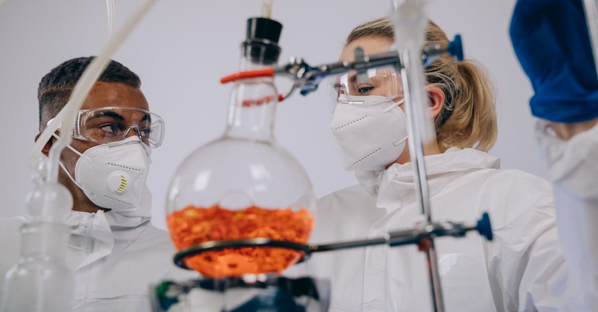 熊猫ip实名账号:lol手游拳头账号日服注册