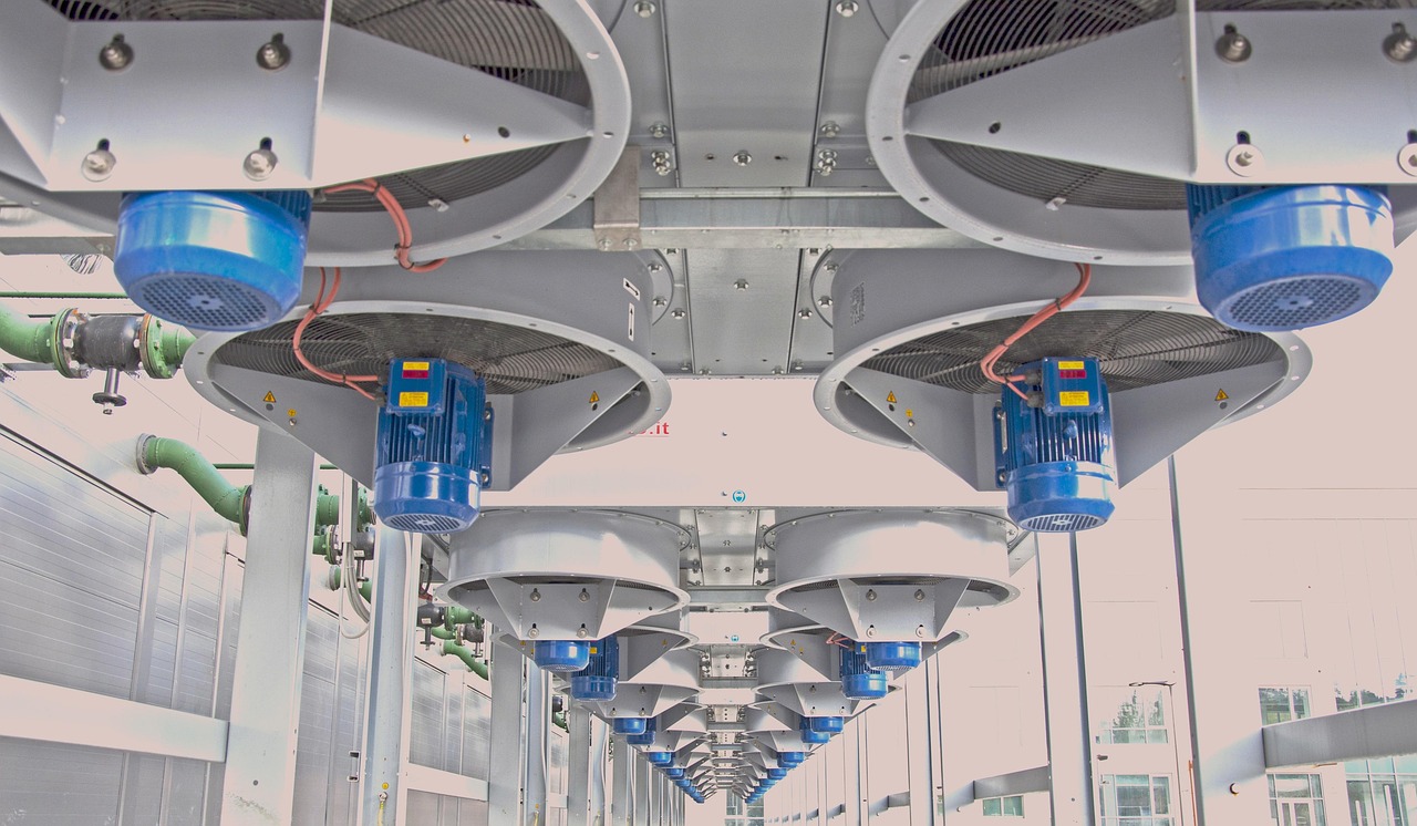 出口荷花（软）：开户平台是什么意思