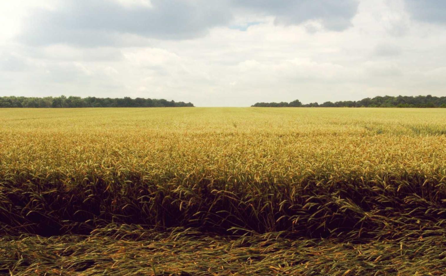 如何运用企业联系人管理提高客户关系管理