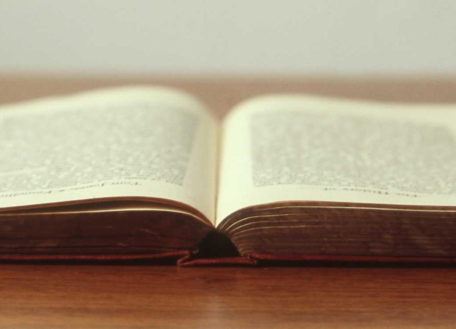 铁塔猫奶油爆珠（粗）：衢州代理公司注册哪家好