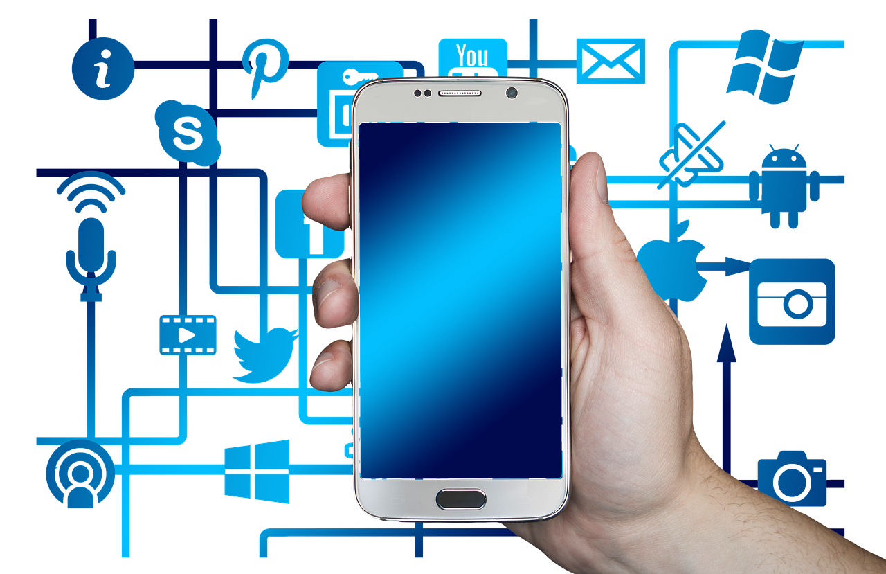 Mond梦都蓝莓：一波推代理平台