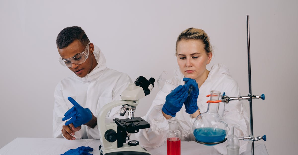 鸿图归来：app详情下载教程路由器