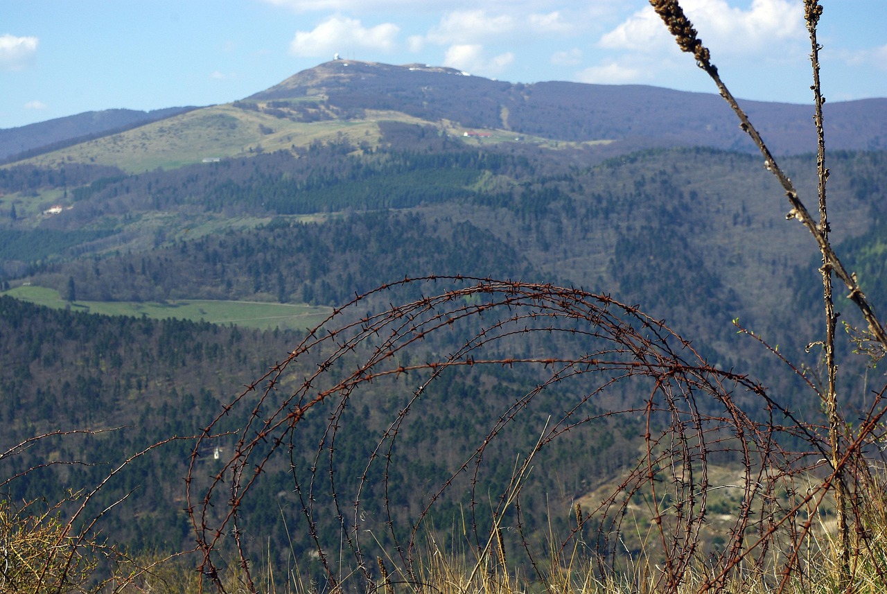 DDOS测试|虚拟定位app详情下载教程