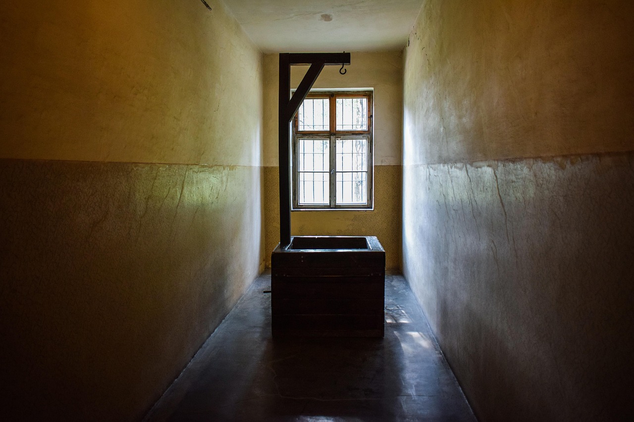 活动推广： 短信营销的利器