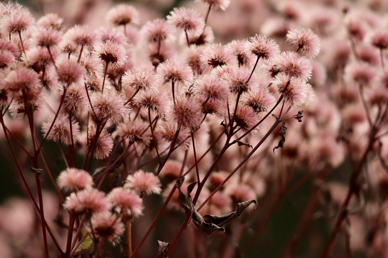 香烟的营销策略